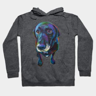 Buddy the Black Labrador Hoodie